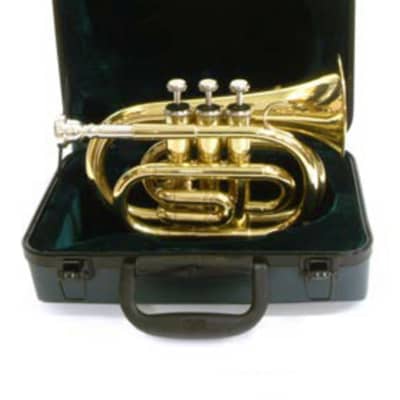 Used CarolBrass Pocket trumpet in lacquer