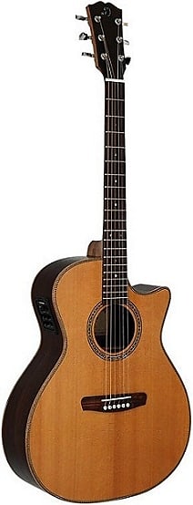 Dowina Danubius GACE Electro-Acoustic Guitar + Bag Made In Slovakia - Best Price! image 1