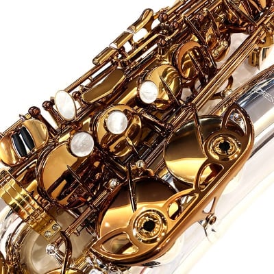 FORESTONE Alto Saxophone Forestone GX COLORS image 4