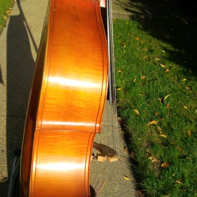 Kay 5 String-3/4 Upright Bass, Bass Fiddle, Double  Bass-Shop Setup-w/Ultralite Case and Bow image 4