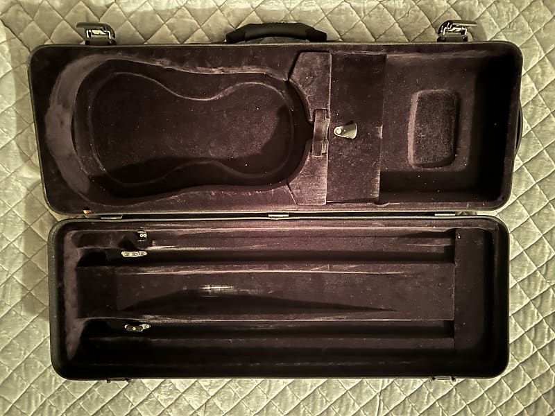 Jakob Winter Greenline Carbon Design Oblong Viola Case | Reverb