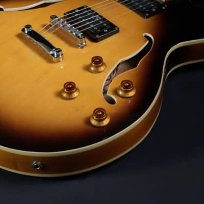 2003 Oscar Schmidt Delta King OE-30/TS Semi-Hollow Body Electric Guitar image 14