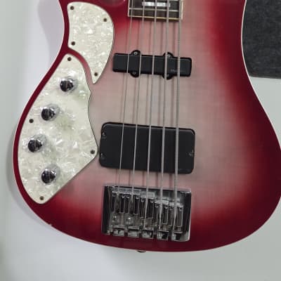 Fujigen(FGN) Neo Classic Series NJB10MBAHL SeeThru Blue