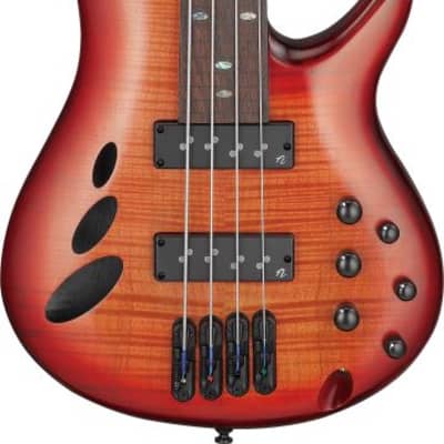 Ibanez SR800 AM Rosewood Fretboard Active Electric Bass Burl Amber - SR800AM  - 606559801688 | Reverb