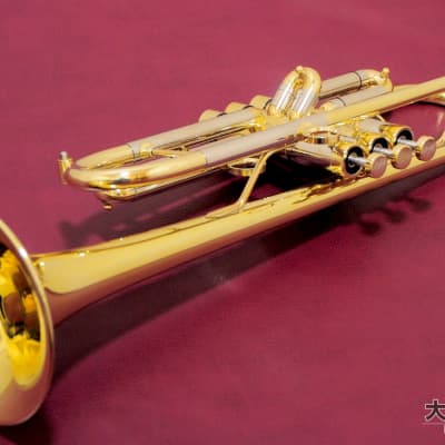 Brasspire Unicorn BPTR-900HNL B♭ Trumpet | Reverb The