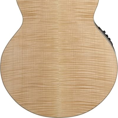 Washburn Heritage J40SCE Jumbo Acoustic-Electric Guitar, Natural image 3