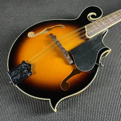 Gold Tone GM-35: F-Style Mandolin with Case image 2