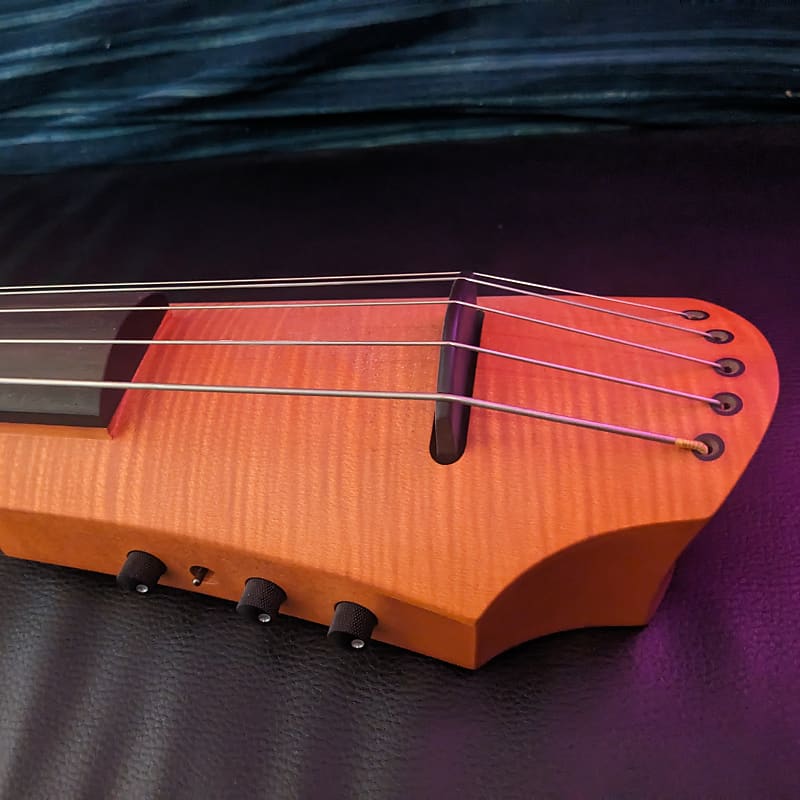 NS Design CR5 5String Electric Cello Reverb