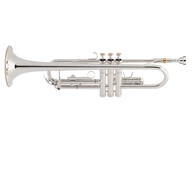 Intermediate Trumpet - brass image 14