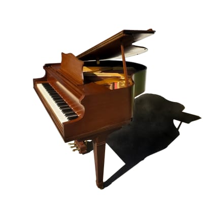 Gorgeous baby grand piano 4'9'' for concerts image 3