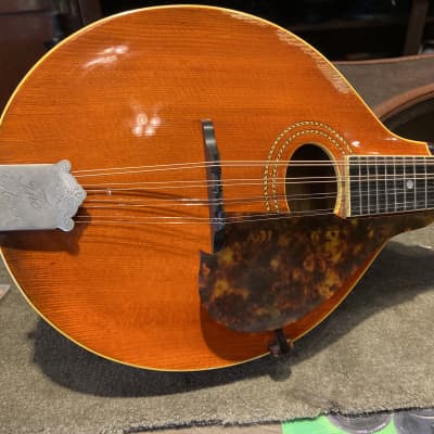 Gibson A-1 mandolin  1916 Pumpkin image 2
