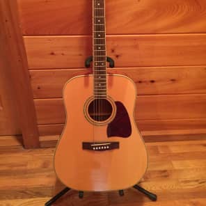 Ibanez Artwood AW100 Dreadnaught Acoustic with Roadrunner Case image 1