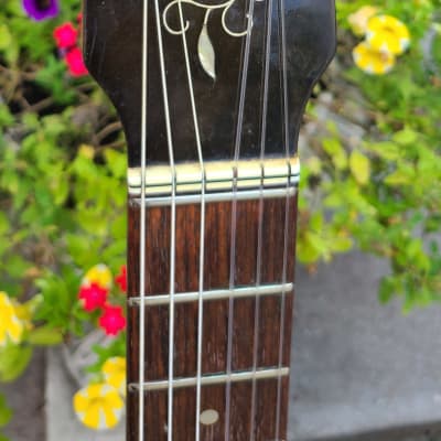 Vintage Hofner Concert Grand Classical Acoustic Guitar Natural Finish Spruce Top w/Case~See VIDEO! image 5