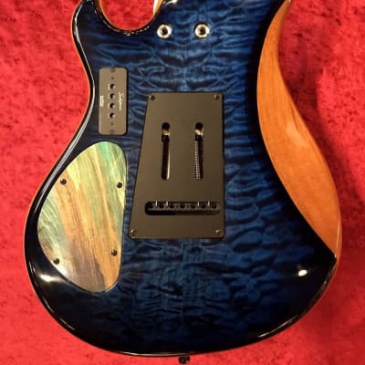 Altero Custom Guitars Vuoto diverso Sette 7st 【MADE IN Altero Custom Guitars Vuoto diverso Sette 7st 【MADE IN