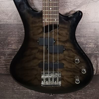 Washburn T 14 Bass Guitar (Indianapolis, IN) | Reverb
