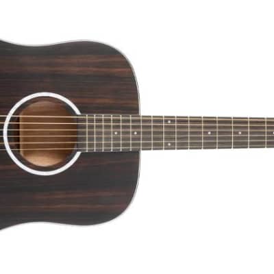 Washburn DFED-U Deep Forest Dreadnought Acoustic Guitar. Striped Ebony DFED-U for sale