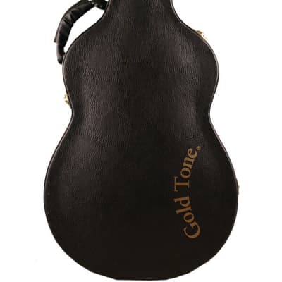 Gold Tone PBB Paul Beard Signature Series Mahogany Top Maple Neck Reso 4-String Bass Guitar w/Hard Case image 14