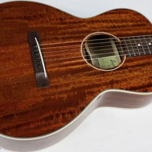 Eastman E10OO-M Double OO Acoustic Guitar w/ HSC, 12-Fret, Solid Mahogany, DEMO!! #28377-2 image 1