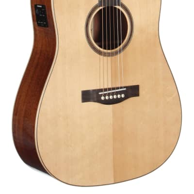 Teton STS100CENT Acoustic-Electric Dreadnought, New, Free Shipping image 2