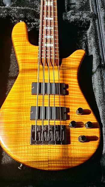 Spector USA Spector NS JH5 6/10/06 Woodstock NYC AAAA