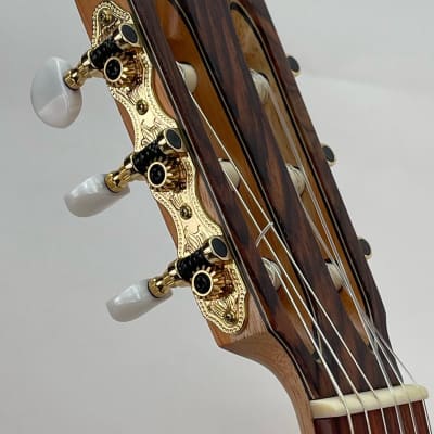 Superior Classical Guitar 2022 Nitro Matte image 5