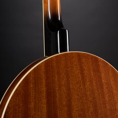 VGS Banjo  Tenor 4-String  incl. Koffer - Banjo image 8