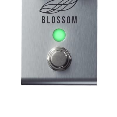 Jackson Audio Blossom Compressor image 1
