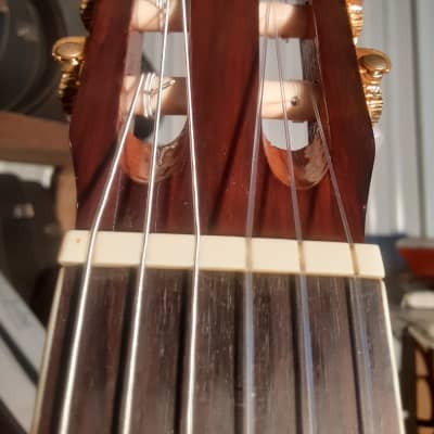Hohner HC30 Classical Guitar Solid Sitka Top Ovangkol Back and Sides image 19