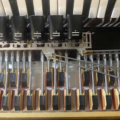 Petosa AM-1000 Leggera LMMH Harmonik mics 19-1/4” 2018 - Black gloss - Limex Bass image 18