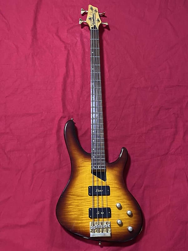 Washburn KW-1250 Kip Winger Signature Electric Bass Guitar
