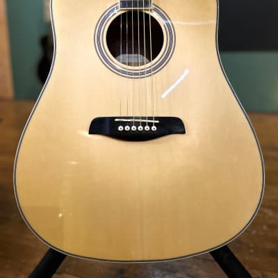 Brunswick BDL200 Acoustic - Left Handed Acoustic Guitar image 1