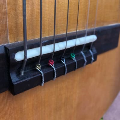Wilson Campos 7-String Guitar, steel & nylon strings, 2021 image 4