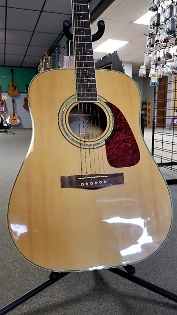 Fender DG 100 NAT