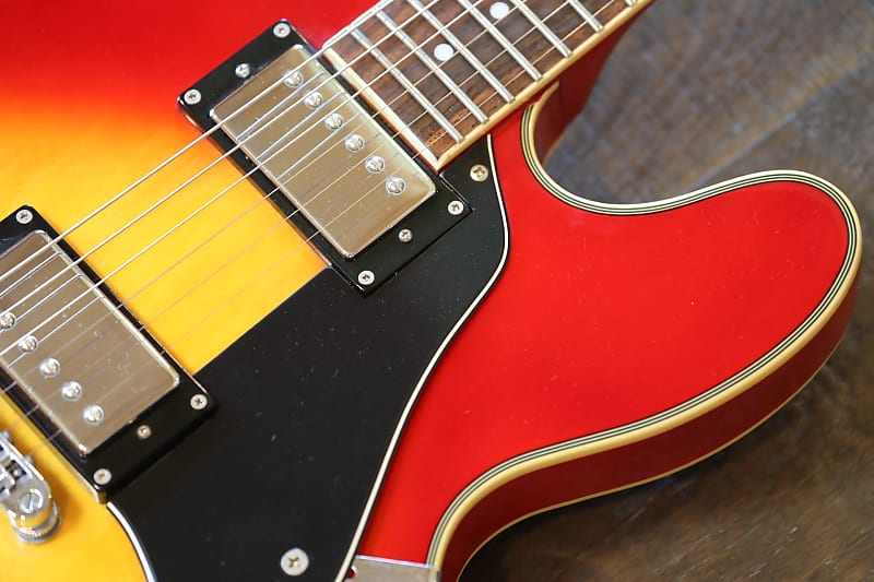 Jay Turser USAセミアコ Jay Turser SM Jazz Guitar | zZounds