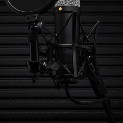 R?DE NT1 5th Generation Large-Diaphragm Studio Condenser Microphone with 32-Bit Float Digital Output and XLR and USB Connectivity (Black) image 4