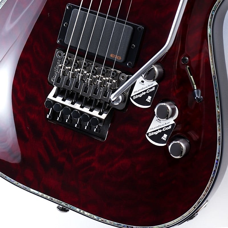 SCHECTER C-1 FR Hellraiser [AD-C-1-FR-HR] (BCH)