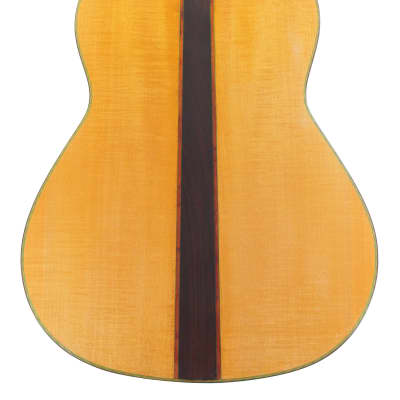 Domenico Pizzonia 2020 fine handmade classical guitar built after Daniel Friederich - check video! image 9