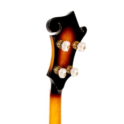 GOLD TONE EBM-5 electric 5-string F-style BANJO new w/ Gold Tone Case image 8