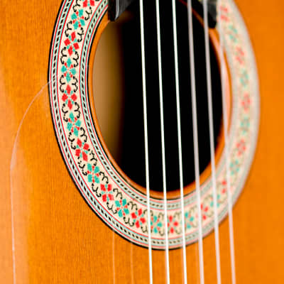 Graciliano Perez flamenco guitar “mixed earth” 2024 image 8