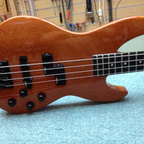 1991 JACKSON RARE KIP WINGER SIGNATURE PROTOTYPE LACEWOOD