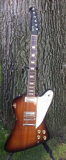 Burny firebird deals