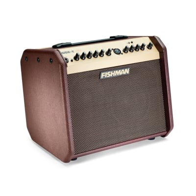 Fishman Loudbox Mini Bluetooth Amp PRO-LBT-500 image 2