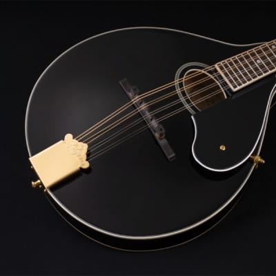 Washburn M1SDLB Bluegrass Series A-Style Mandolin. New with Full Warranty! image 15