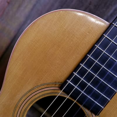 Washburn Model 1897 #111 Parlor Guitar 1903-1904 - Natural image 8