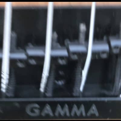 GAMMA Custom Bass Guitar PF21-03, Fretless Alpha Model, Spalted Maple image 9