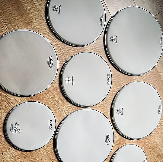 Remo 14 silent stroke mesh shop head