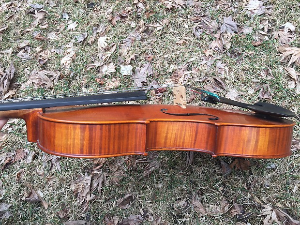 Gliga Vasile Maestro 2001 | Reverb