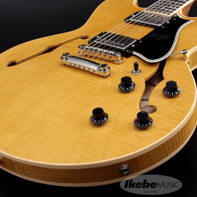 Heritage Standard Collection H-535 SEMI-HOLLOW BODY GUITAR Antique Natural SN.AL33204 image 7