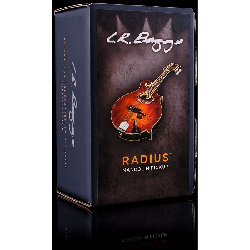 LR Baggs RADM Radius Mandolin Pickup w/ JACK image 1