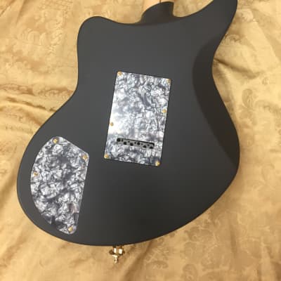 D'Angelico Deluxe Bob Weir Solid Body Electric Guitar-Matte Stone Finish-NEW! image 5